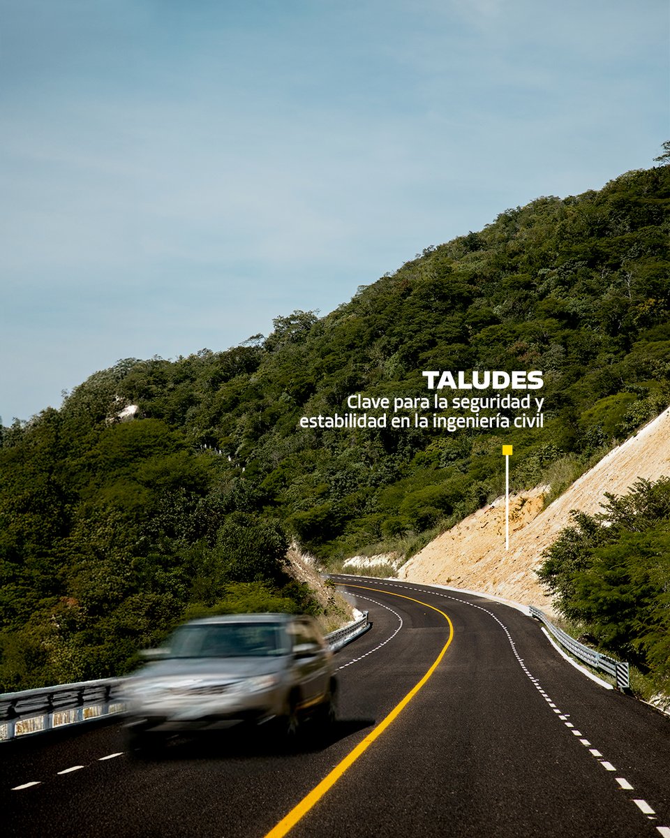 VISE México tweet media