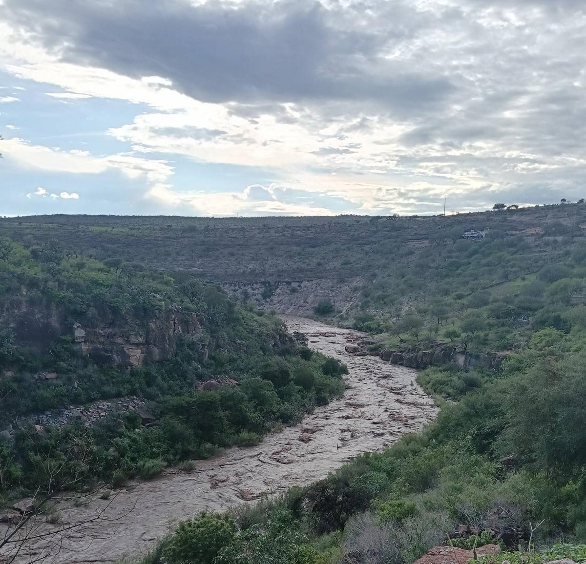 Red Mexicana de Afectadas/os por la Minería -REMA- tweet media