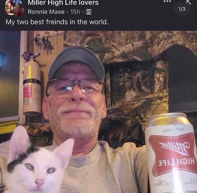 Punch Cat (@punchingcat) on Twitter photo 