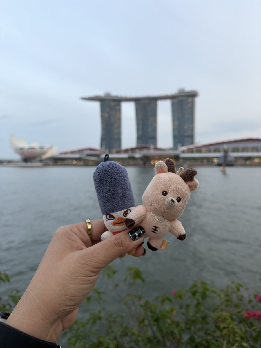 qtwonbin's tweet photo. help a briize pls help rt 🙏🏻

Missing: Ddolbyeong long head
Last sighting at Bayfront MRT 😭

If you saw it plz plz dm me and meet at Indoor Stadium tomorrow 😭

#RIIZE_CONCERT #RIIZINGLOUD_IN_SINGAPORE #RIIZINGLOUD_IN_SG 
#RIIZINGLOUD
#RIIZINGLOUDinsingapore #sohee #ddolbyeong https://t.co/v2I4FKDjFw