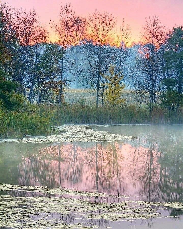 The soul becomes dyed with the colour of its thoughts.

Marcus Aurelius