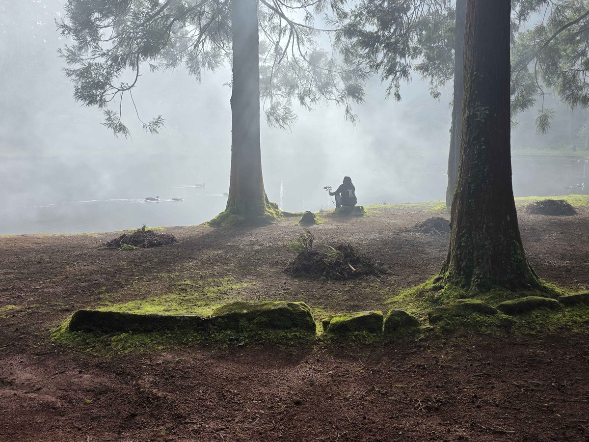 Office for the day: Lake
Task: Record water sounds
Level: Awesome