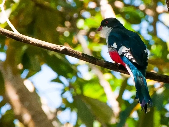 🇨🇺#FidelPorSiempre "(...)si de algo estaba cansada nuestra patria era de ambiciosos, era de gente interesada, de hombres que no eran capaces de sacrificarse por los intereses de la nación."
#CubaEstáFirme