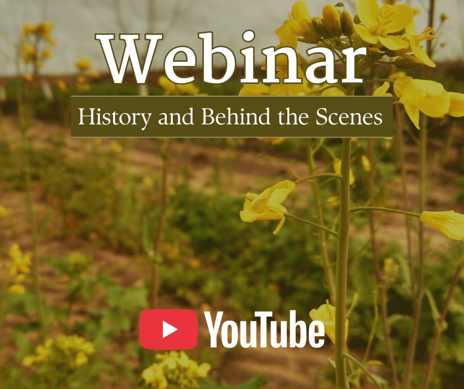 Project Apis m. tweet media