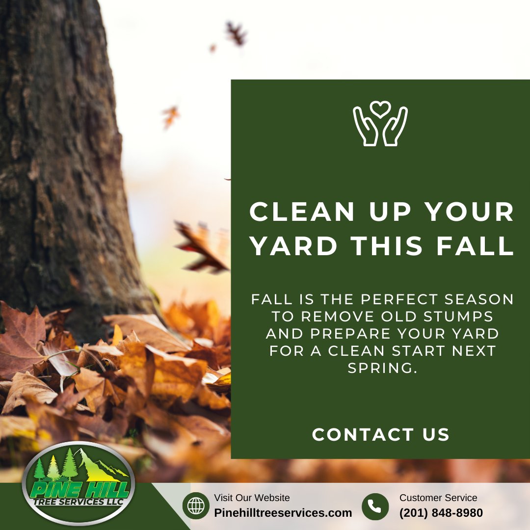 PineHillTS's tweet photo. 🍂 Give your yard a fresh start! Fall is the best time to remove old stumps &amp; prep your property for next spring. 🌳 Call Pine Hill Tree Services today!  

📞 (201) 848-8980 | https://t.co/rClAVnBmAv

#StumpRemoval #YardCleanUp #FallPrep #NJ https://t.co/x0VvmN1rds