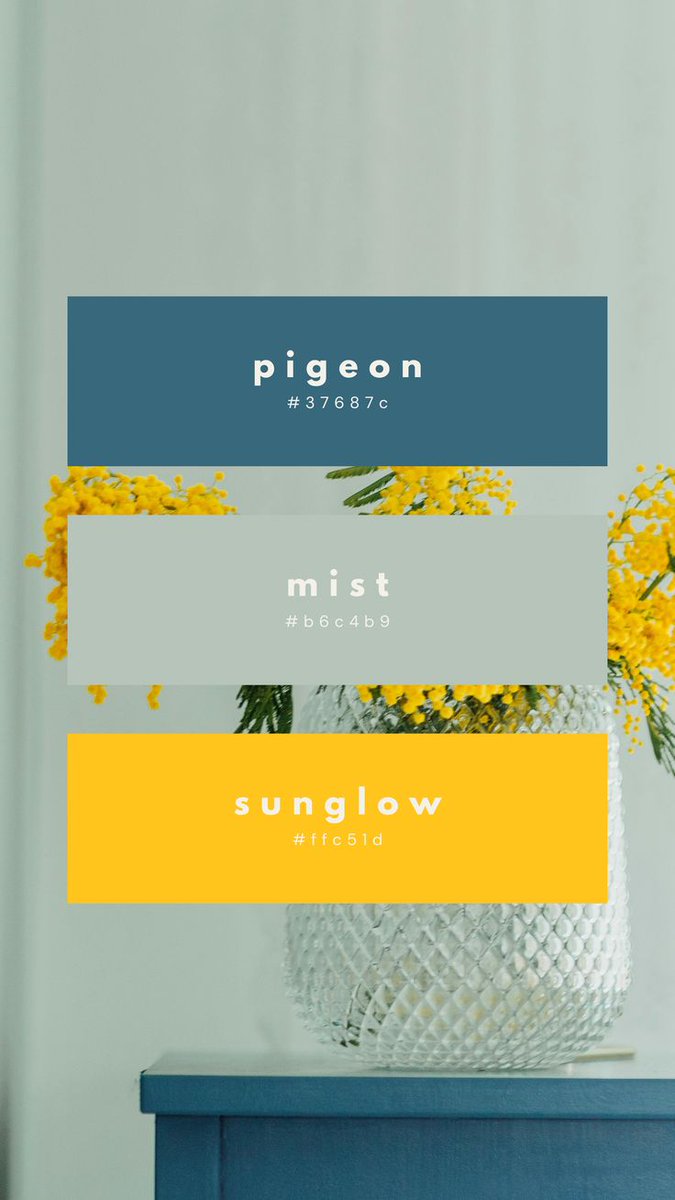 baudinstudio's tweet image. pigeon mist sunglow palette, client-ready or just interior pinterest bait