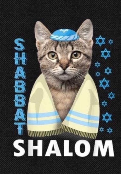 Devir Ben Avraham tweet media