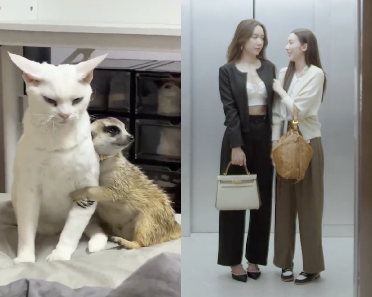 แล้วเหมือนทั้งหมด เหมือนยันส่วนสูง สายพันธุ์ ยันสีขน 5555555555555555555555555555555