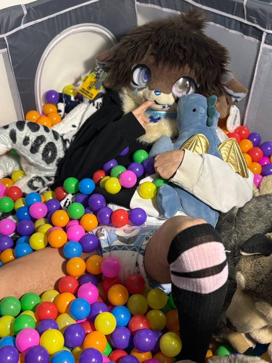 Baby Blu🔜MP, BFC tweet media