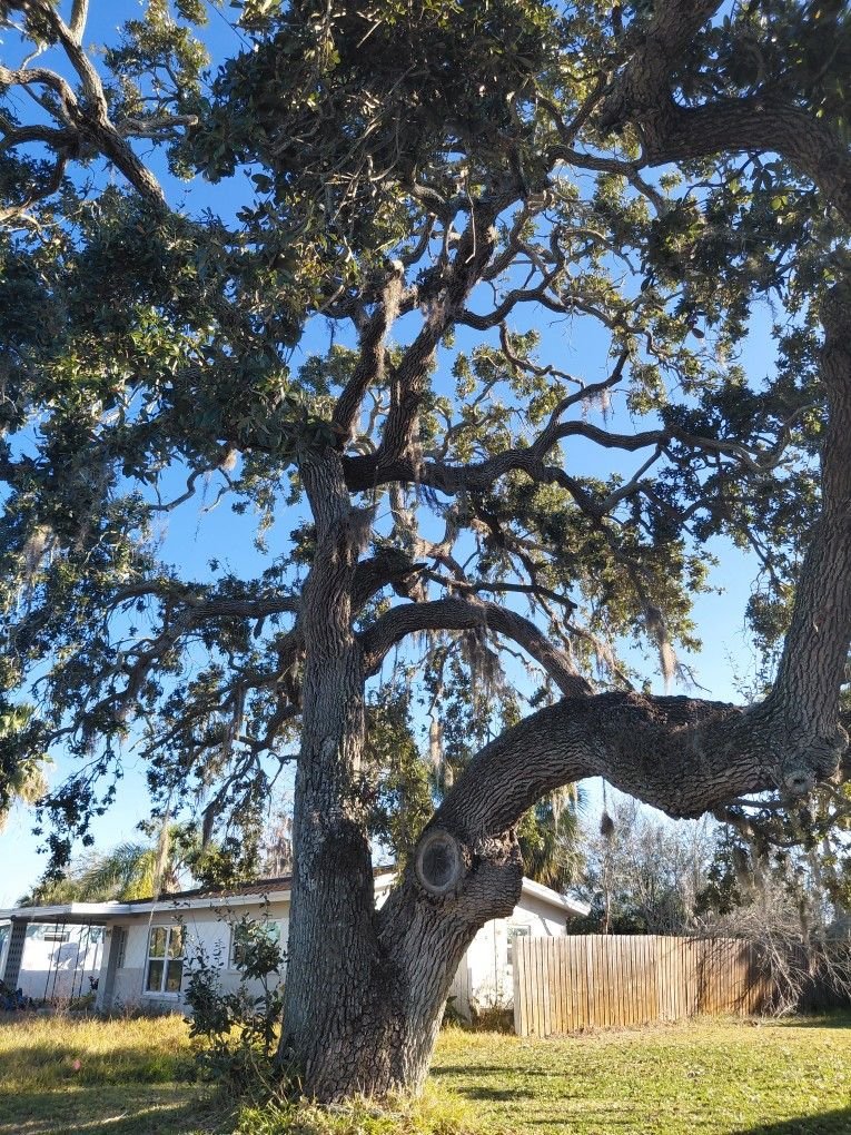 NeedlessToSay's tweet image. 