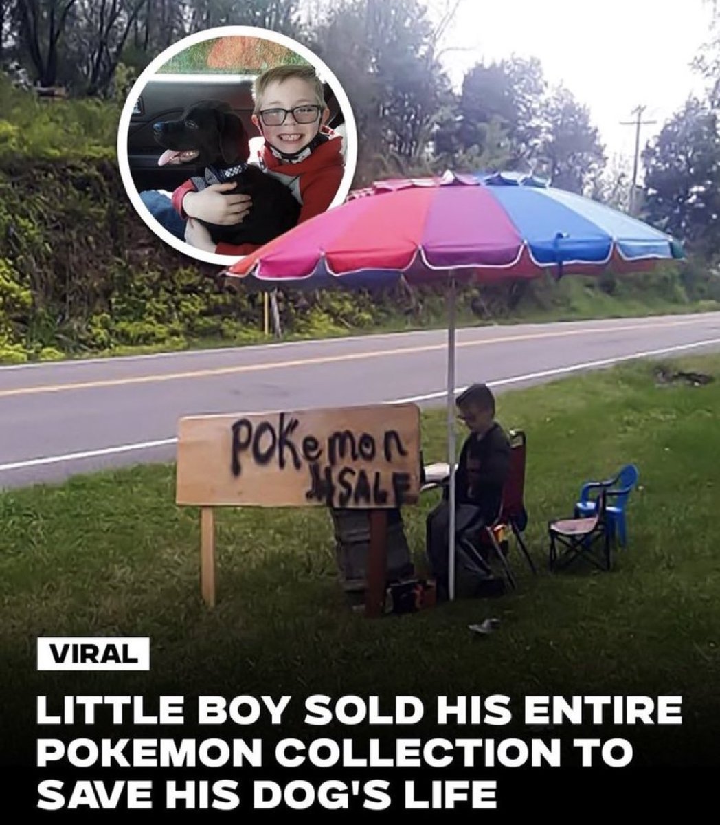 Puppieslover's tweet image. 