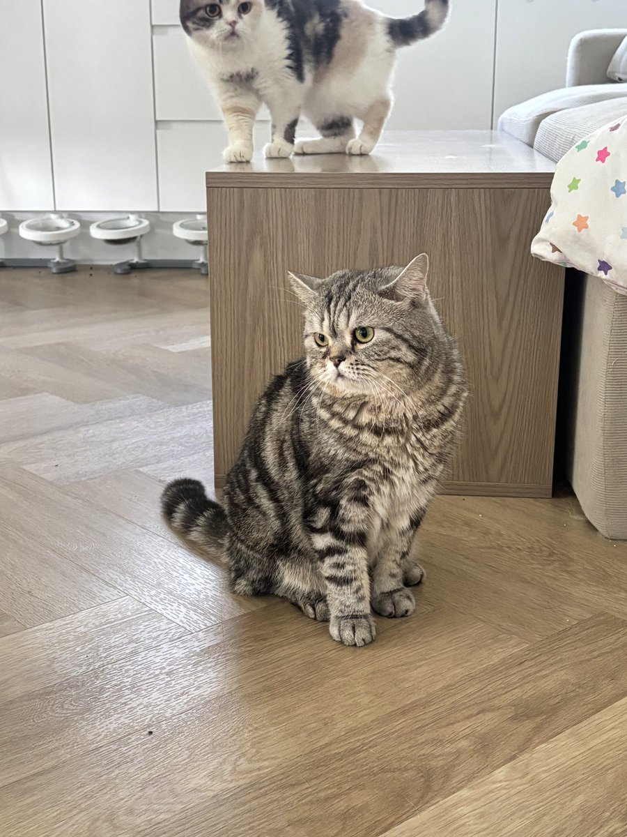 KeamPim's tweet image. หายแก่ยังงงง