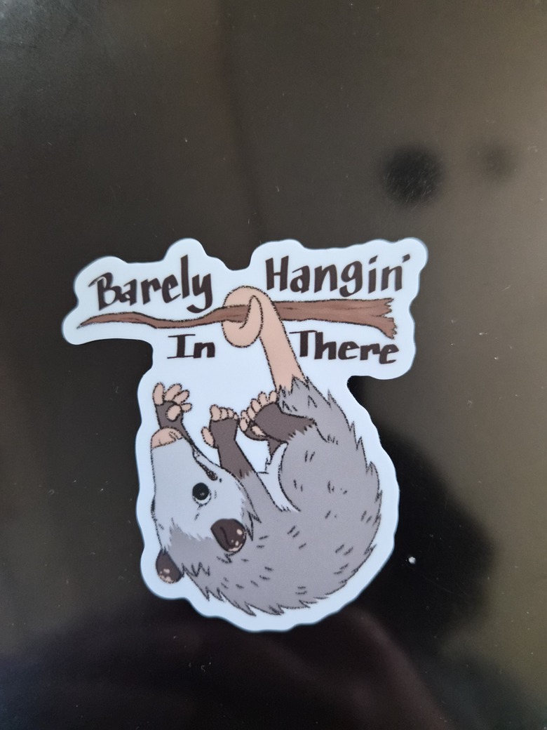 💖Aubie Opossum💖 tweet media