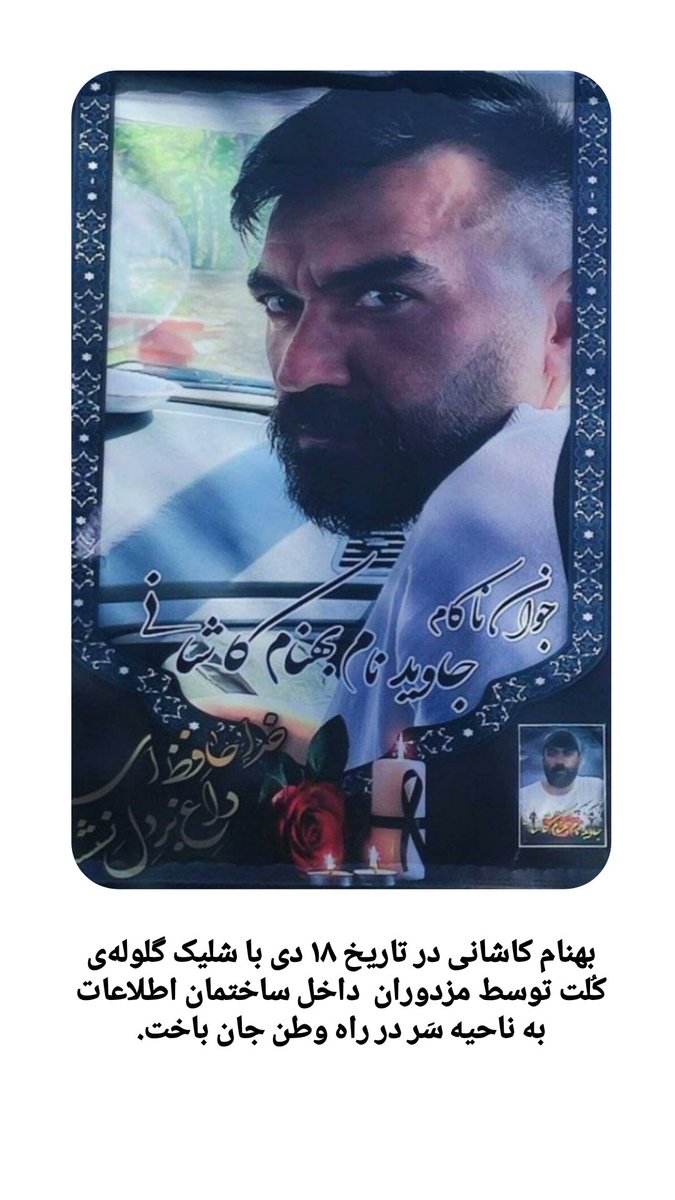 گَلِگِر 🐈⬛🇮🇷 tweet media