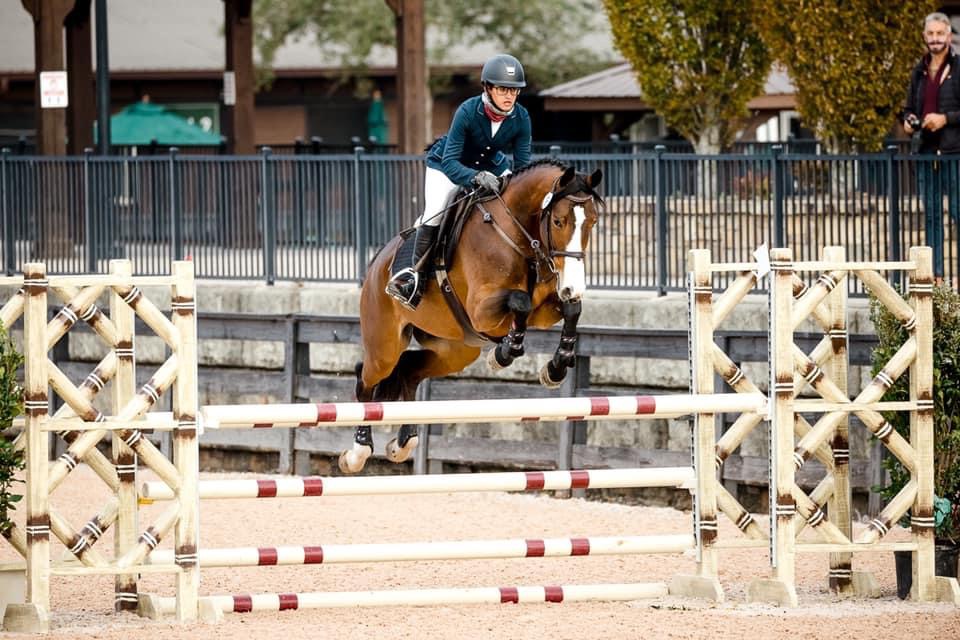 Brains, beauty and talent! This absolutely stunning 10yo mare is a young rider’s dream partner. She has a stellar record in the .90s and would love to teach someone through the meters. She’s also a darling enough mover to make a lovely dressage mount for… dlvr.it/TQWq0q