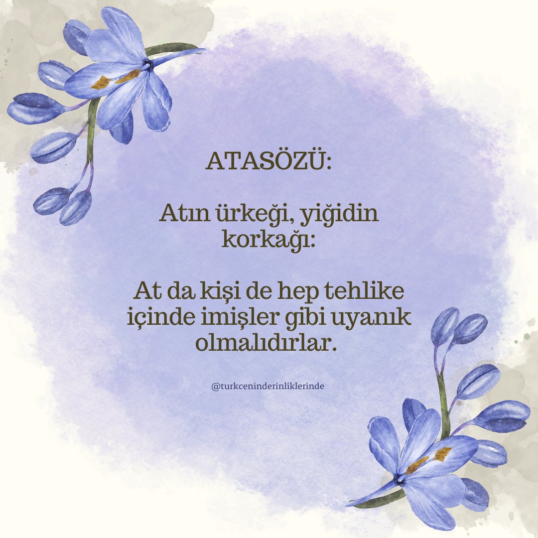 Türkçenin Derinliklerinde (@turkceninderinl) on Twitter photo 
