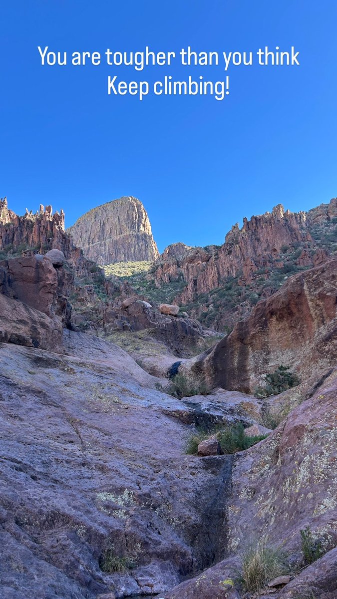 Joe Micela tweet media