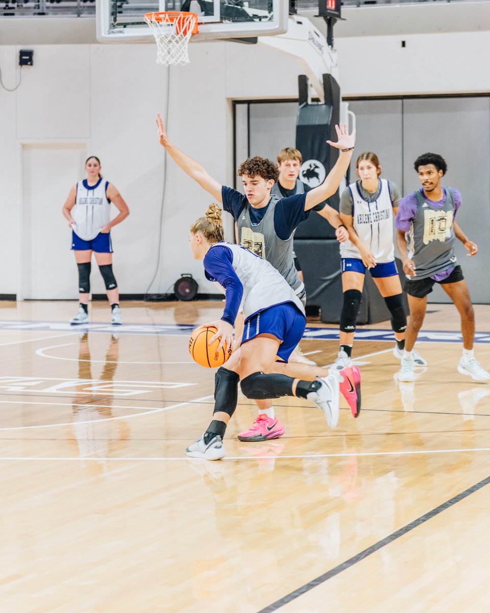 ACU Women’s Basketball tweet media