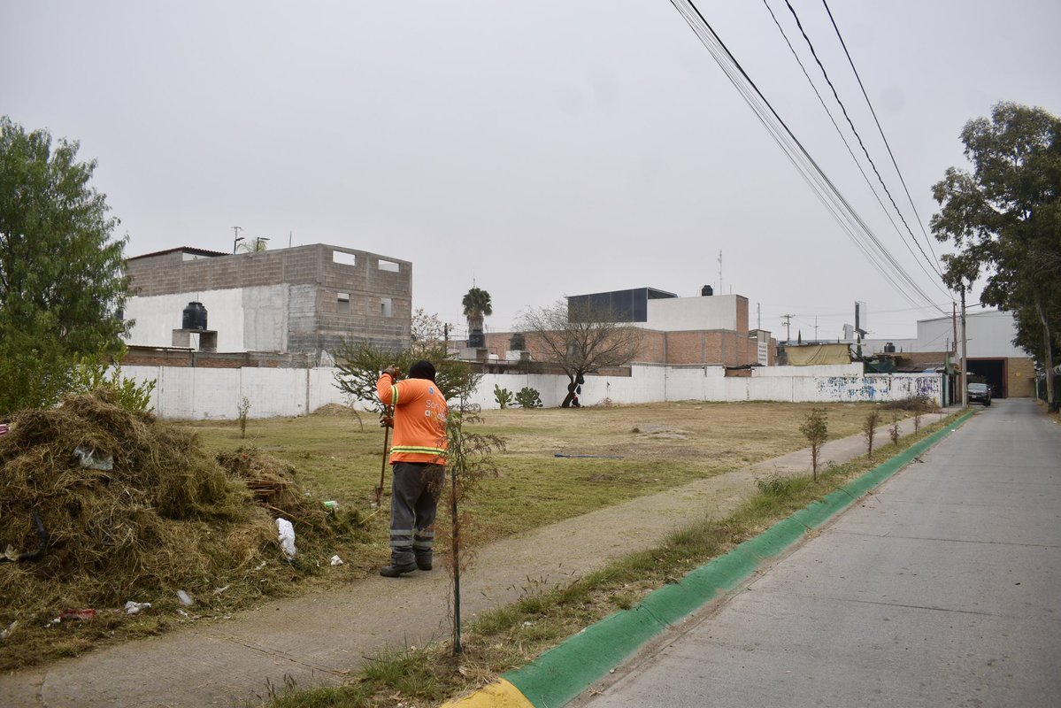 Realizamos labores de limpieza general en el área verde ubicada en la calle Precursores de la Revolución, como una medida preventiva para evitar que la falta de mantenimiento se convierta en un posible foco de infección.🍃🧹

#CuadrillasSLP #LimpiezaUrbana #ServiciosMunicipales