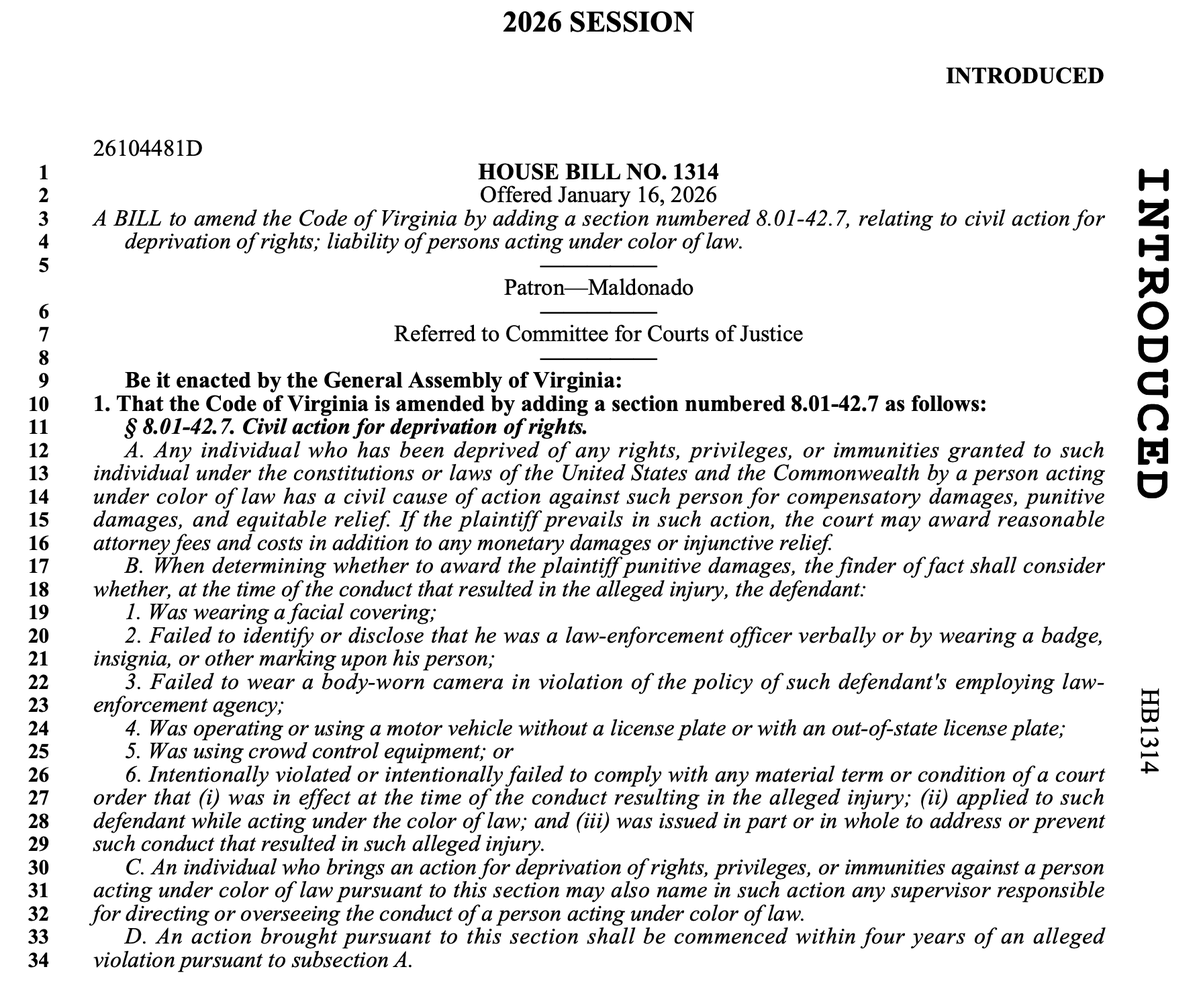 ChristianHeiens's tweet image. Democrats in Virginia have filed a bill that allows illegal aliens to sue individual ICE agents in civil court.