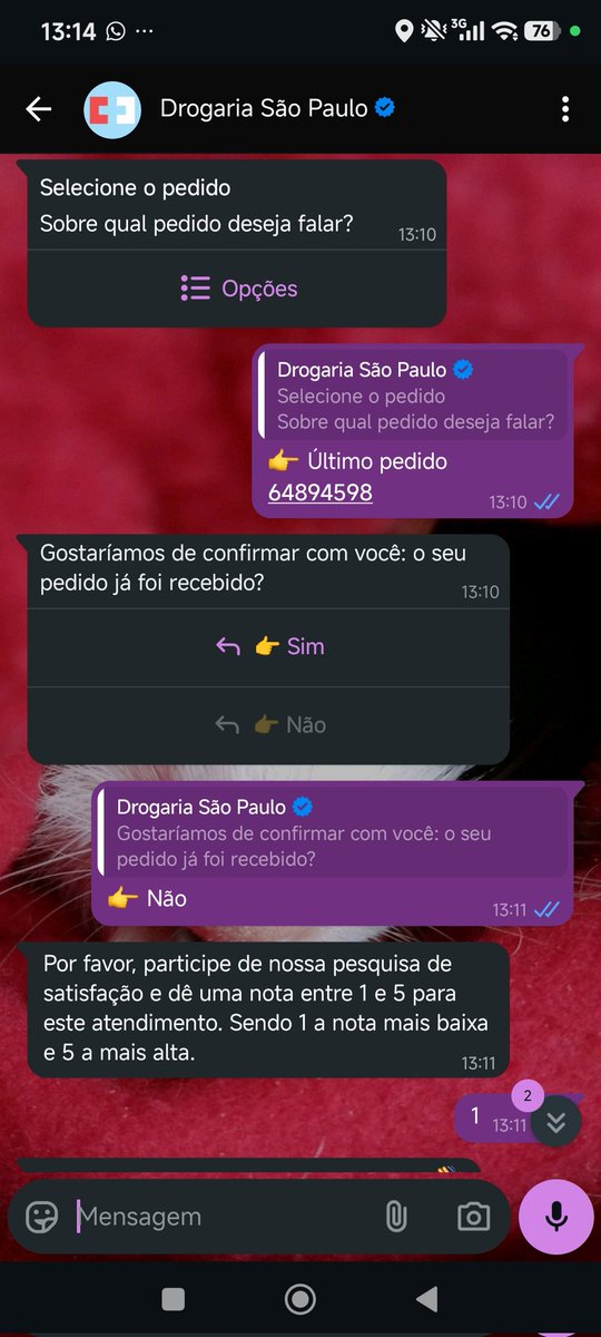 ceguinha do lesteᵉᶜᵇ tweet media