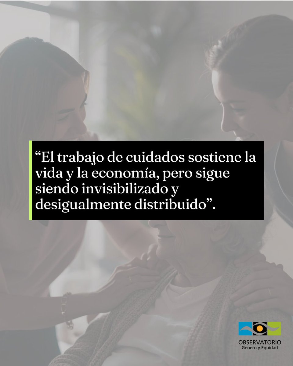 Observatorio Género tweet media