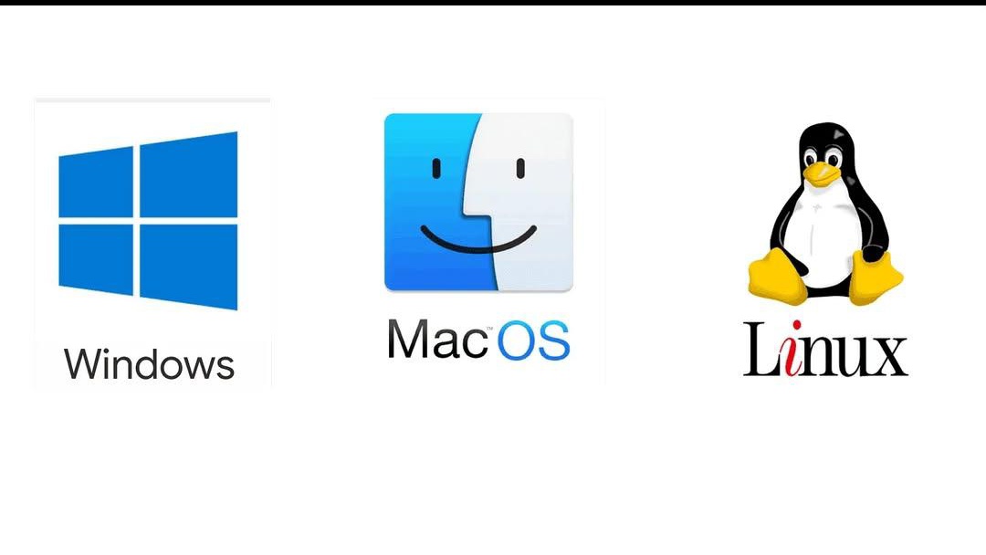 justbyte_'s tweet image. Delete one forever