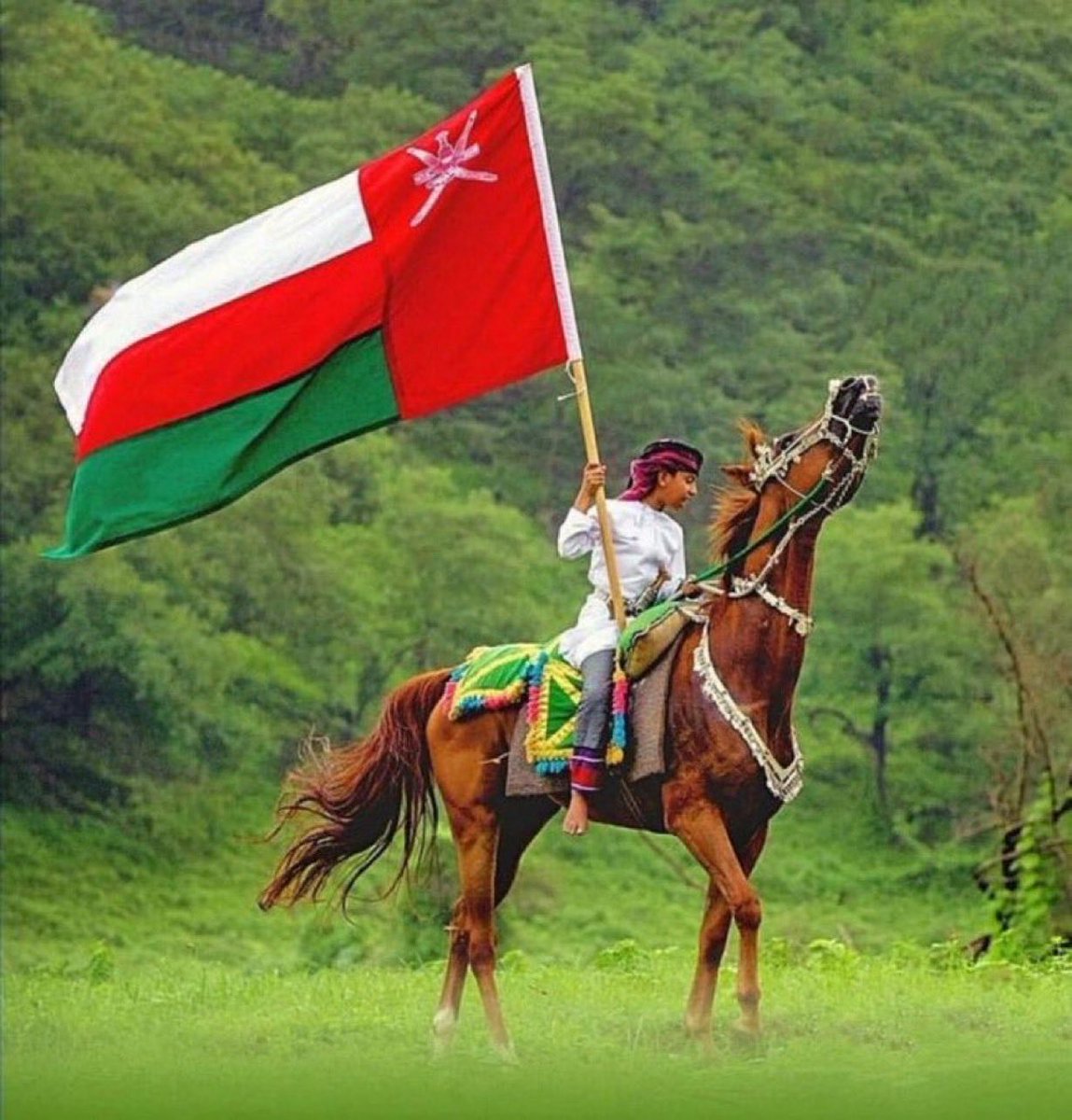 Qais_alqasmy's tweet photo. أبناء وطني الكرام
فل نكن يد واحده ونمنع تناقل اي فيديوهات لاتليق بسمعة عمان الحبيبه 
وان نترفع عن التغريد بها 
وحتى تناقلها للاسف في الواتساب 
اشياء مؤذيه للقلب ومخزيه بذات الوقت 
عمان الحضاره والطهاره ارقى وأجل من بعض تلك الوجوه السمجه 
حفظ الله عمان وشعبها❤️🇴🇲🇴🇲🇴🇲 https://t.co/2182jumYT9
