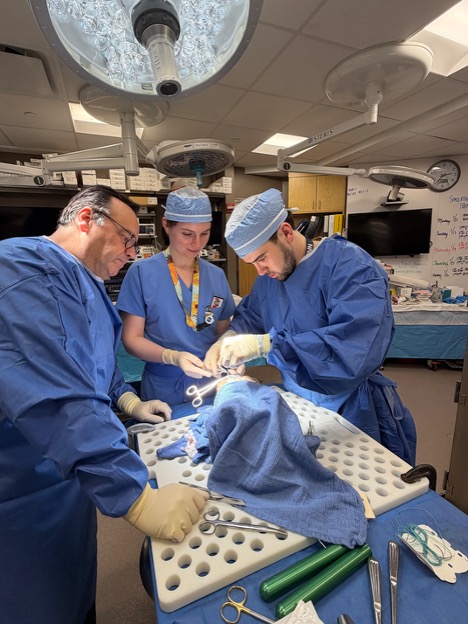 HSS Education Institute tweet media