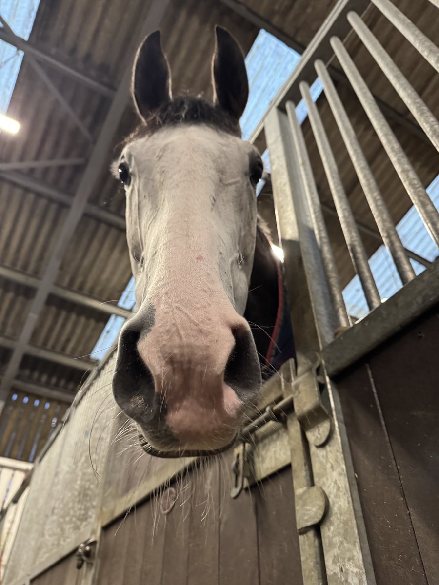 Fergal O'Brien Racing tweet media