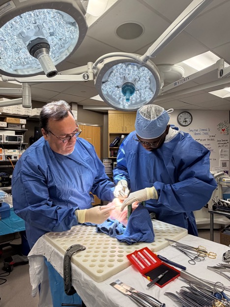 HSS Education Institute tweet media