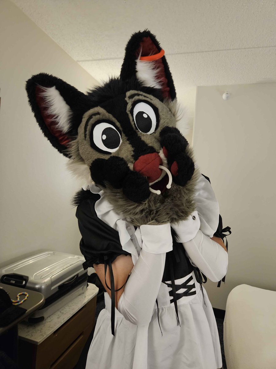 Don’t worry I was just cleaning! Nothing else >w< #FursuitFriday 
📸<a href="/atherianthrope/">SilverScared🐺❕</a>
