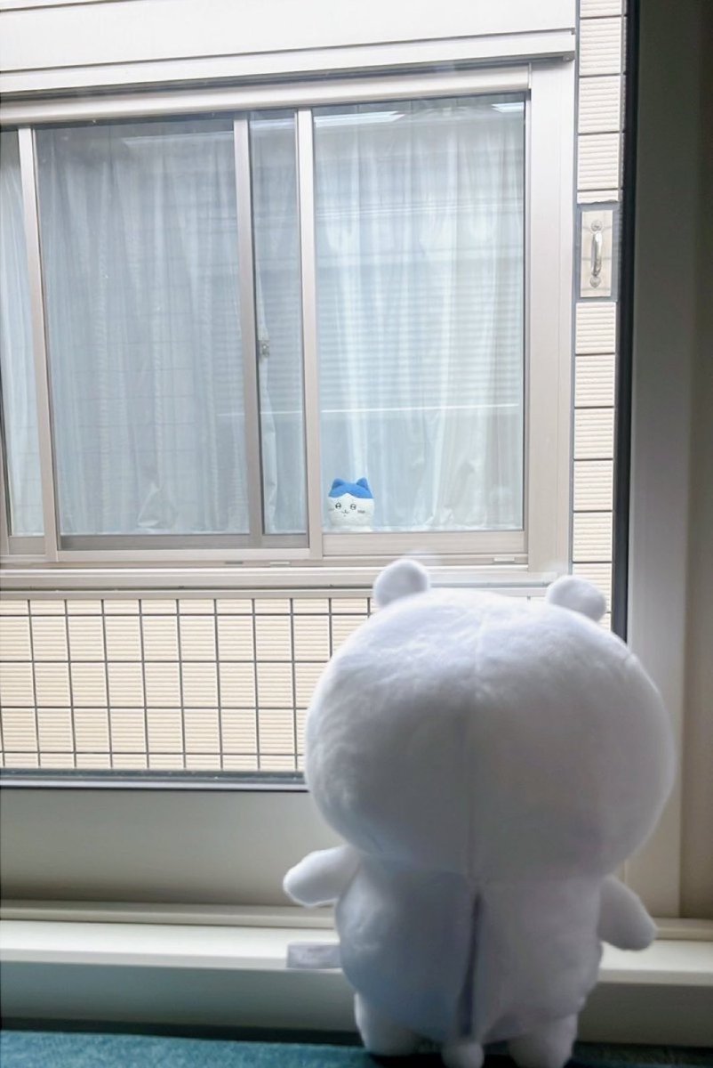 ちいかわ窓の外に向けて置いといたら、向かいの家の人がハチワレ置いてきた