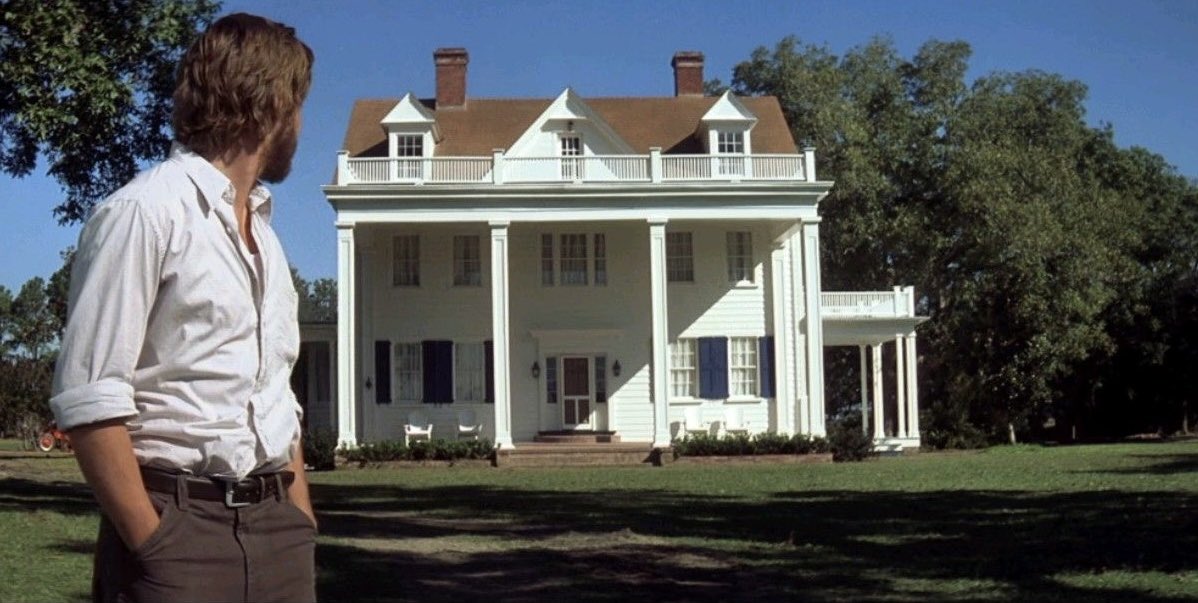 l1icy's tweet image. 