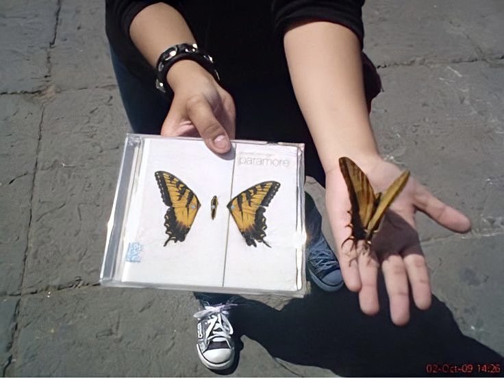 xXMu3icl0v3rXx's tweet image. 