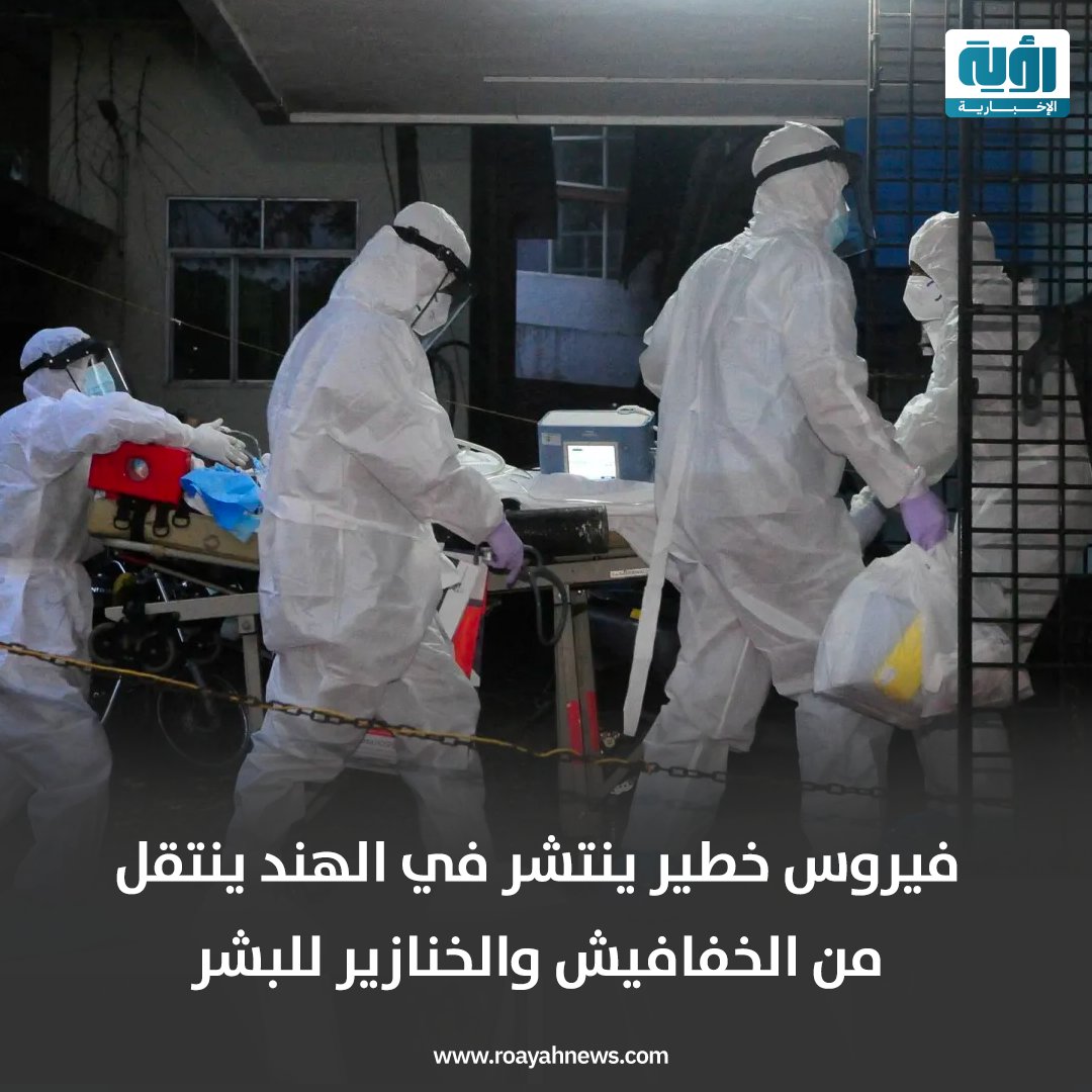 Roayah Media Network tweet media