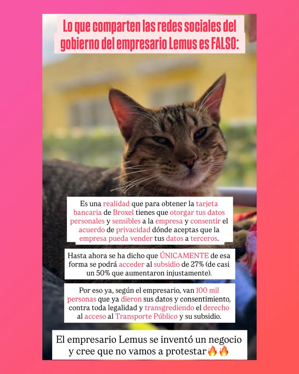 GatitosVsDesig's tweet image. FALSO. FALSO. FALSO. Ojo con la desinformación que comparte el gobierno del empresario Lemus para mantener a flote el negocio multimillonario que se inventaron a costa de la población de Jalisco.