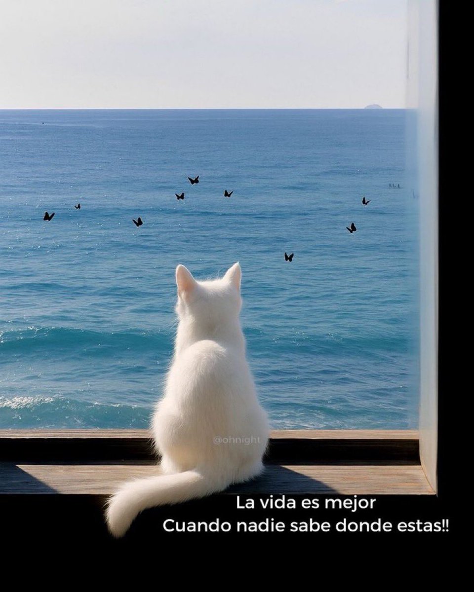 Sin escritos 🪐 (@sinescritoss_) on Twitter photo 