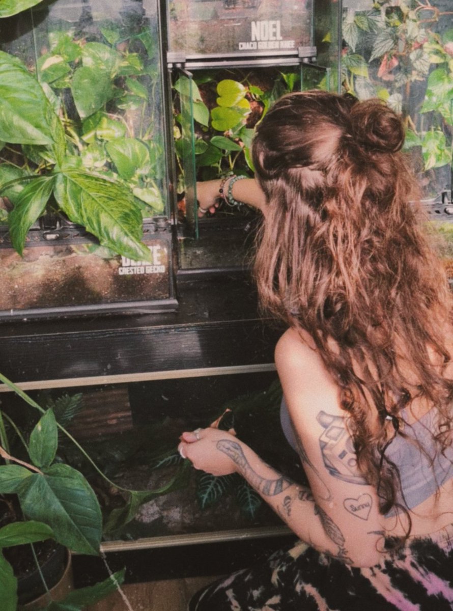 Carlsberg. tweet media