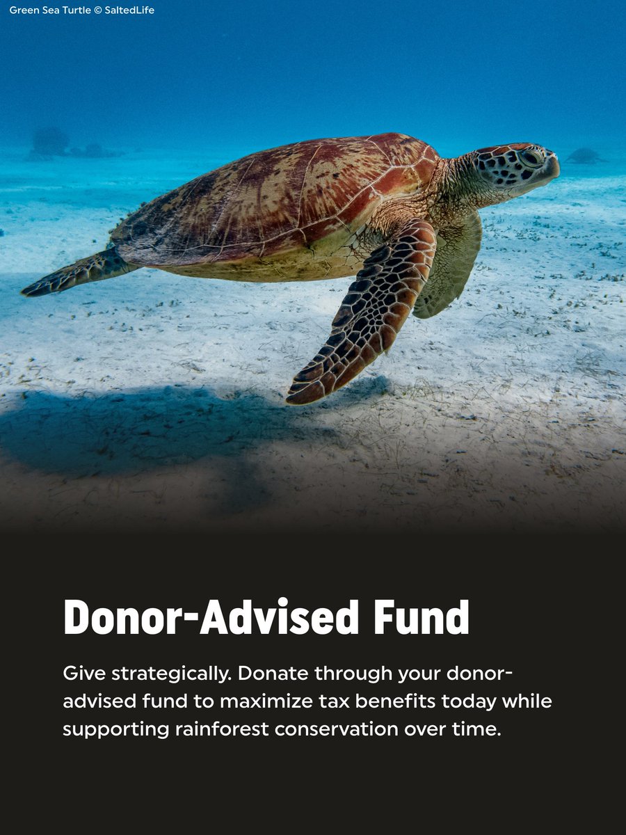 Rainforest Trust tweet media