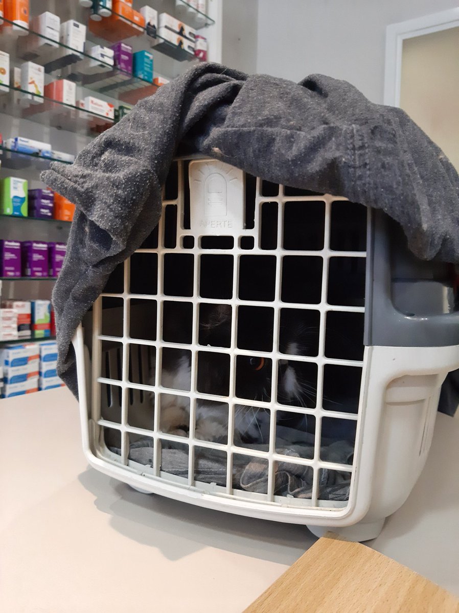 The day of his surgery has finally arrived. I hope everything goes well for him... I know you'll be okay, my son. 🥲❤