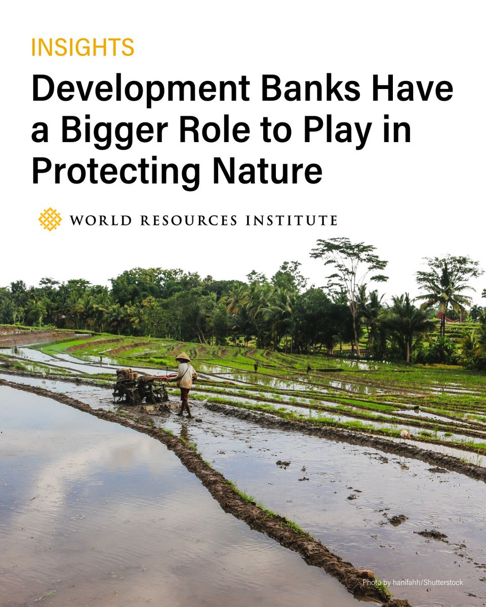 WRIClimate's tweet photo. The economy grows in ways that degrade the nature it relies on. So, to reverse this degradation, we need to transform finance.

That's where development banks come in. 

Our research offers a first assessment of how they're supporting nature: https://t.co/tSQPULOweg https://t.co/VeB9bqpwWU