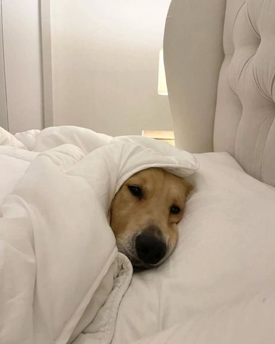 yo todos los días: tengo que organizar mi vida  

también yo: