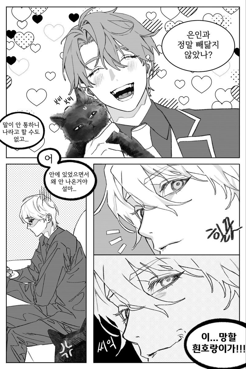 은인이 고양이가 됐다