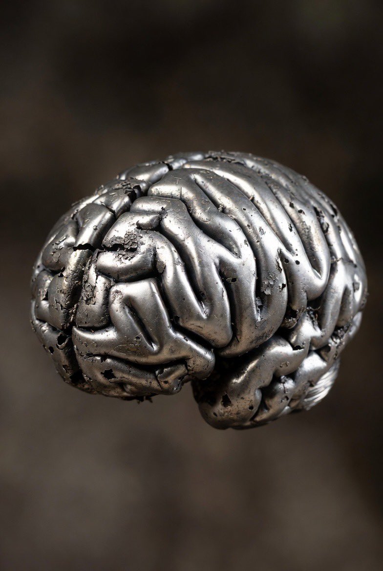 goldseek's tweet image. Happy Tarnished Brains Fellow Silver Bugs!!!