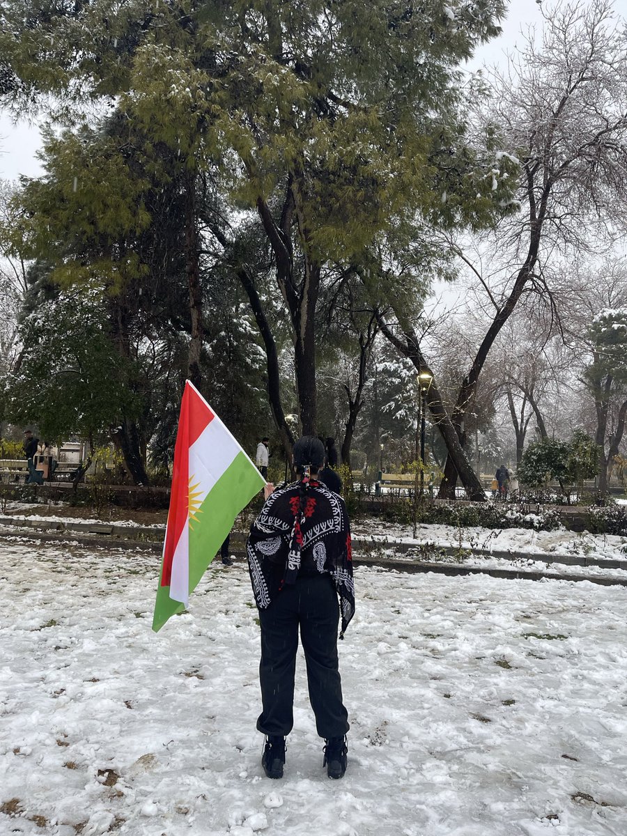 Imrozan's tweet image. They only cut one braid but we make thousands of braids
ئێوە یەک کەزی تان بڕی 
بەڵام ئێمە هەزاران کەزی  ئەهۆنینەوە❤️☀️💚