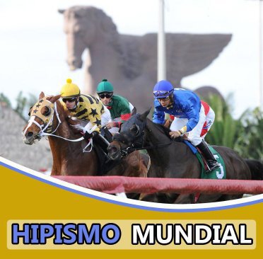 Hipismo Mundial tweet media