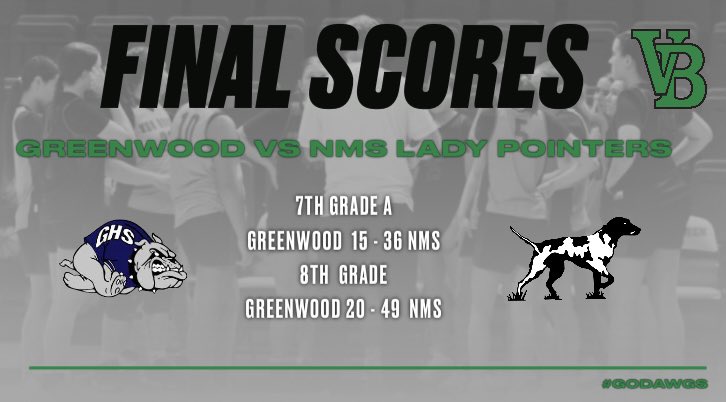 NMSLadyPointerHoops tweet media