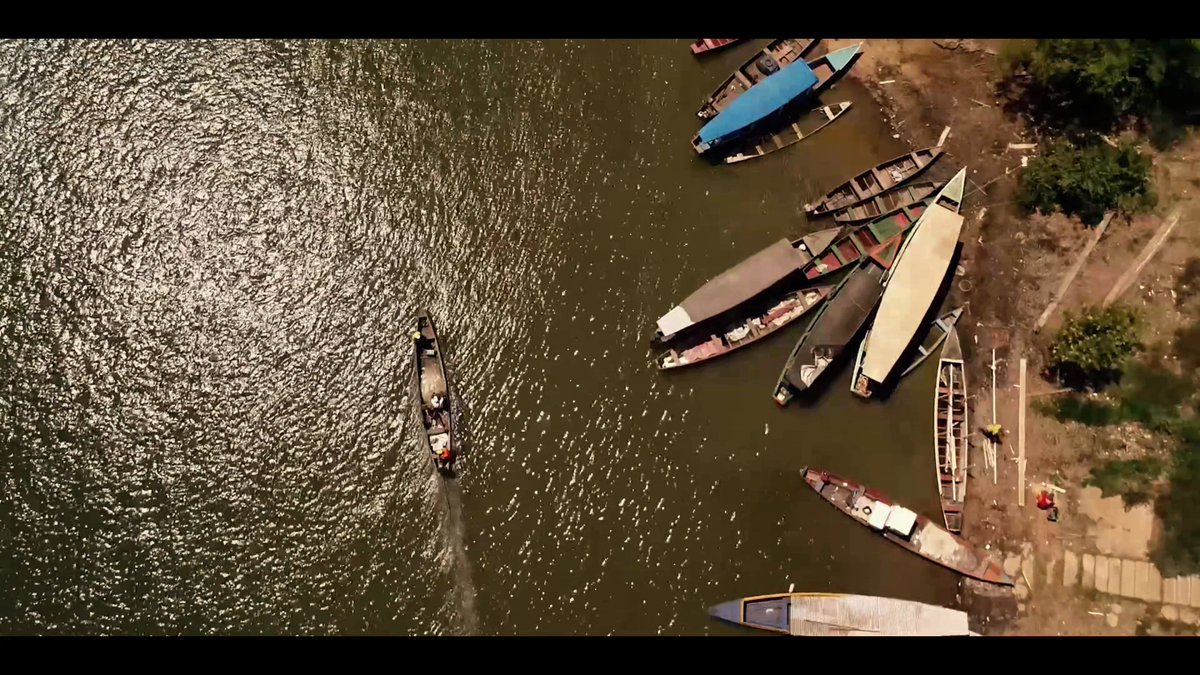 PLURAL+ Youth Video Festival tweet media