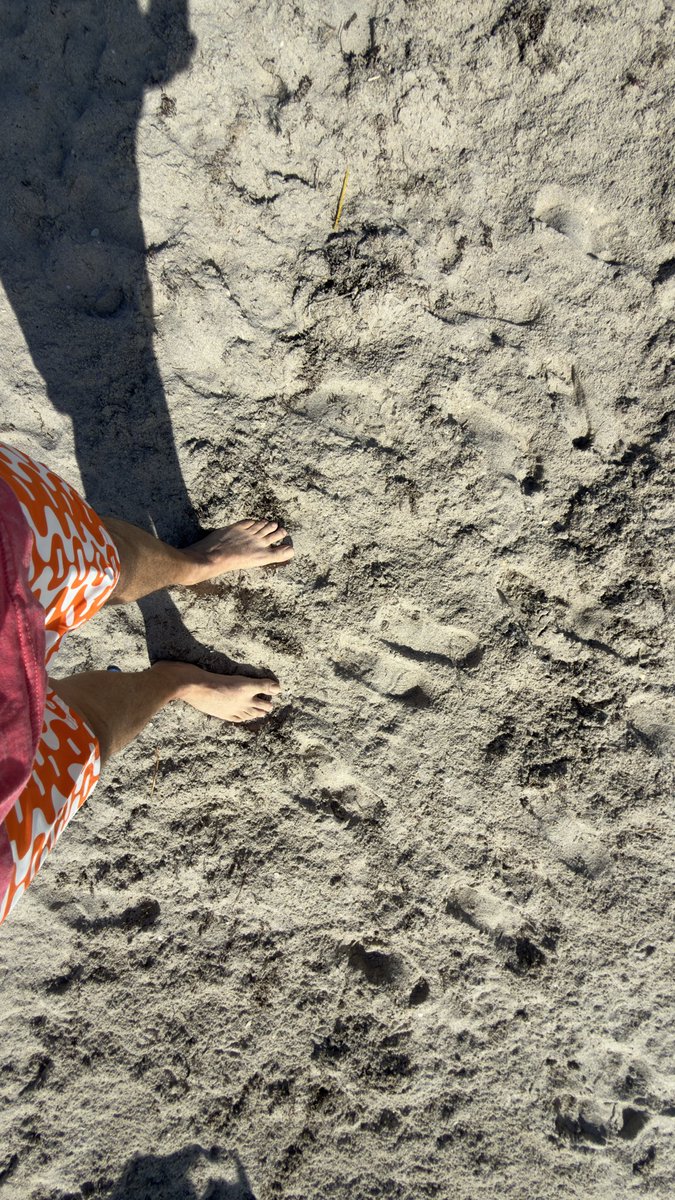 eduardofora's tweet photo. Un poquito de vitamina D https://t.co/Vl89QWtGGz